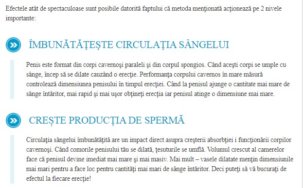 Disfunctia erectila | monnytravel.ro
